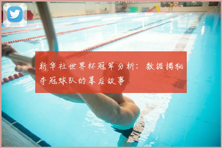 新华社世界杯冠军分析:数据揭秘夺冠球队的幕后故事